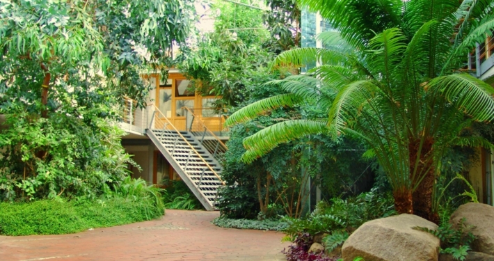 begrünter Innenhof des Technik- und Ökologiezentrums Eckernförde. Große Palmen und Bäume, dazwischen gepflasterte Wege. Im Hintergrund führt eine Treppe in die 1. Etage zu den Büros.