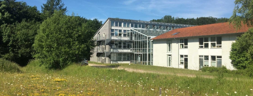 Auf dem Foto ist eine brühende Wiese zusehen mit gelb und weißen Blumen. Im Hintergrund steht ein größeres Firmengebäude aus Holz, Stein und Glas.